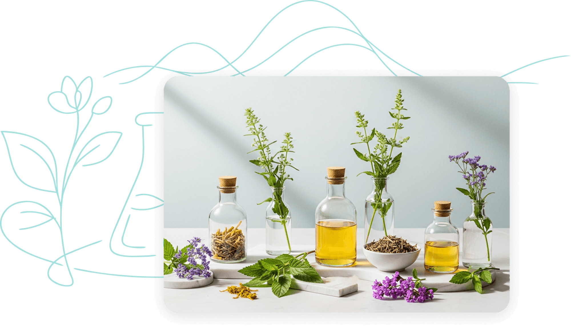 Fitoterapia Clínica Avançada 